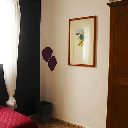 Pensión Alcaravaneras 2*