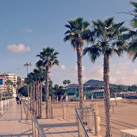 Pensión Alcaravaneras Las Palmas de Gran Canaria